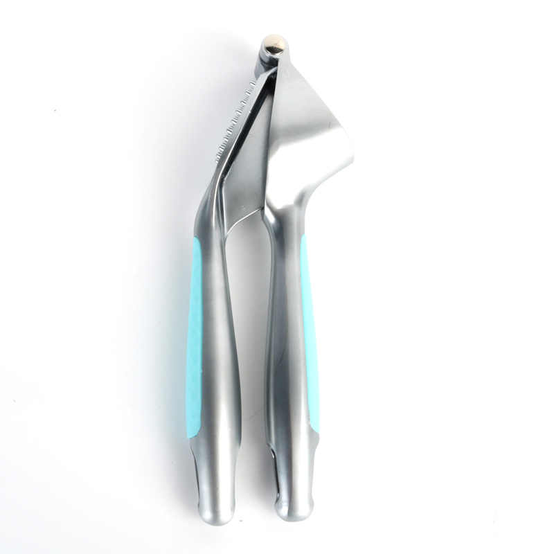 ဒီဇိုင်းအသစ် တာရှည်ခံသွပ်အလွိုင်းကြက်သွန်ဖြူနှိပ်ပါ။